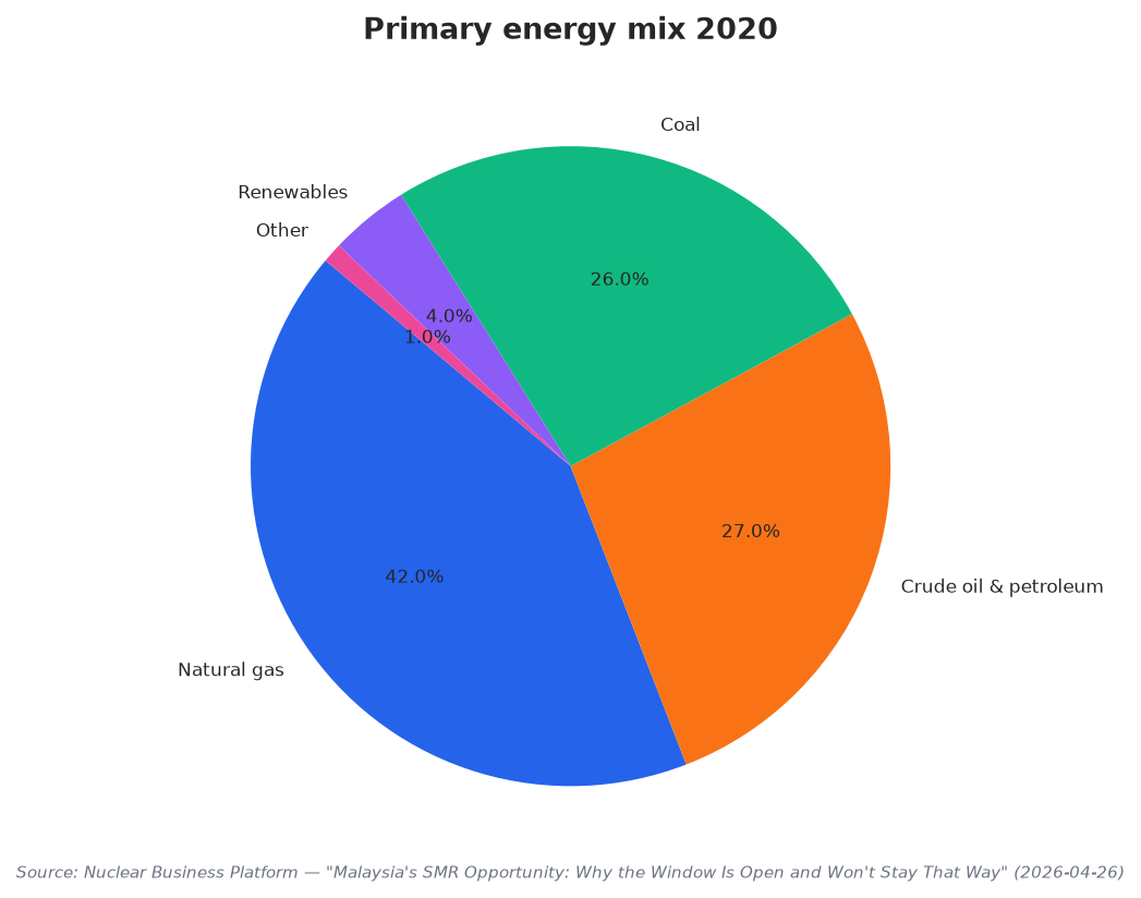 Primary energy mix 2020