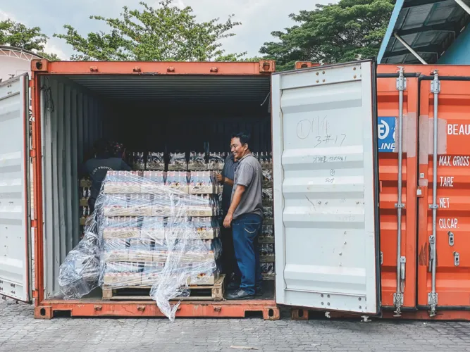 Supply Chain & Logistics