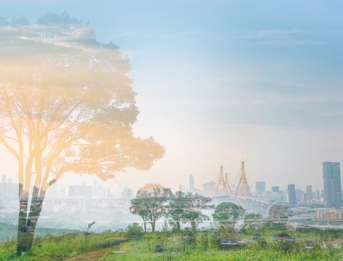 A tree in the foreground highlights the city skyline, representing Malaysia's commitment to sustainable building practices.